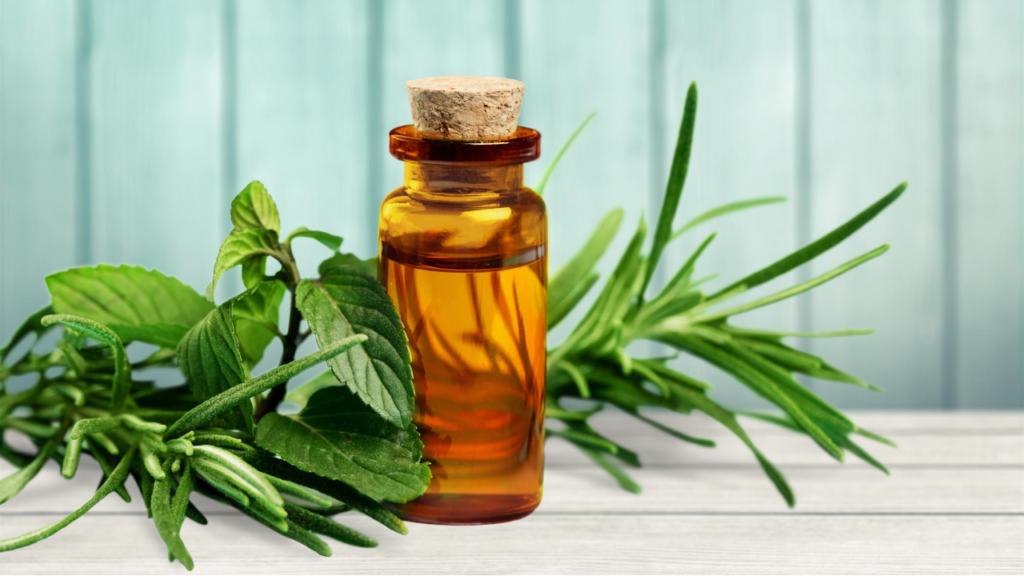 Tea Tree Oil Offers Far More Beauty Benefits Than You’d Ever Imagine